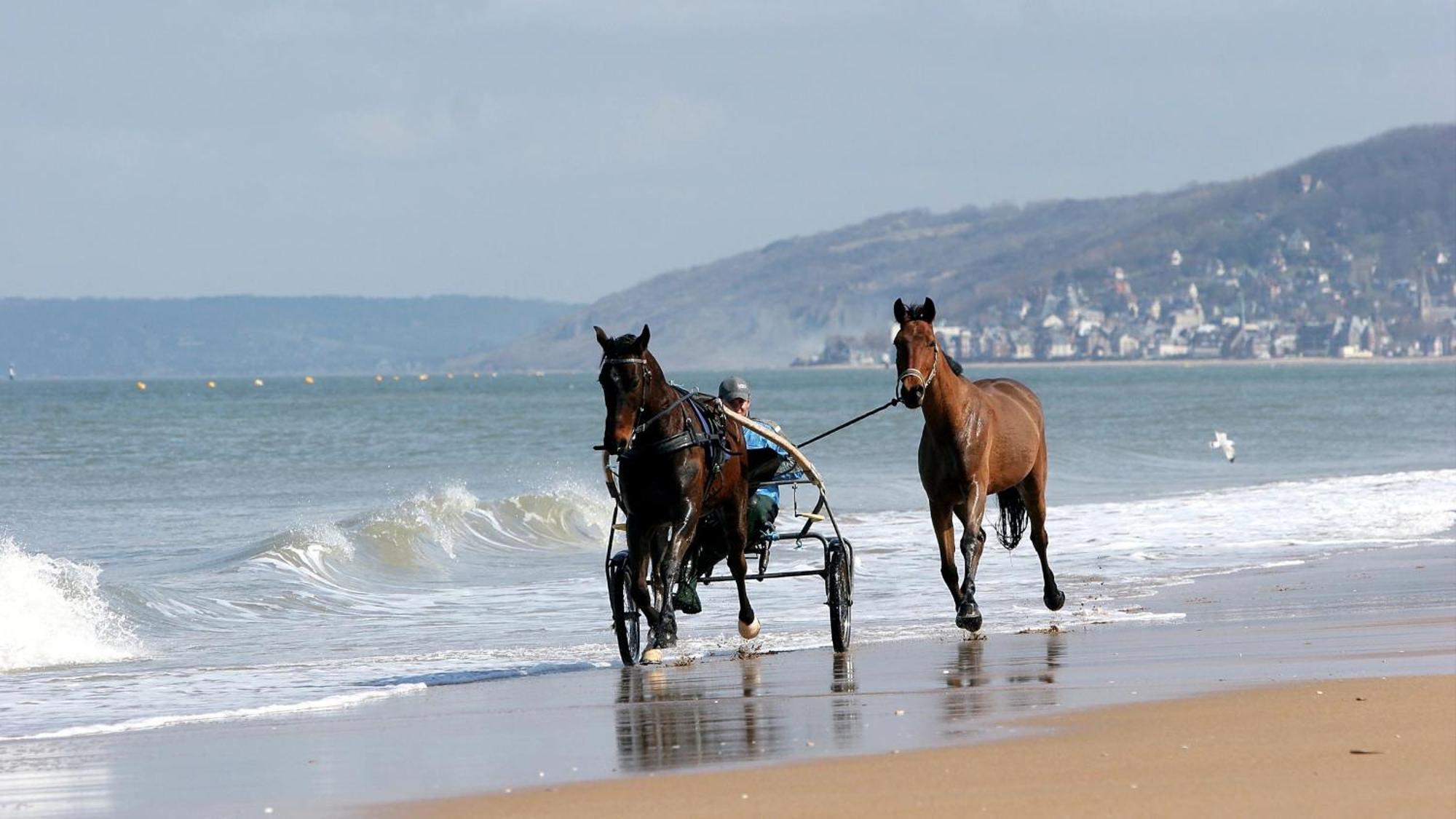 Le Nid De Plage A 100 M De La Mer Cabourg Extérieur photo